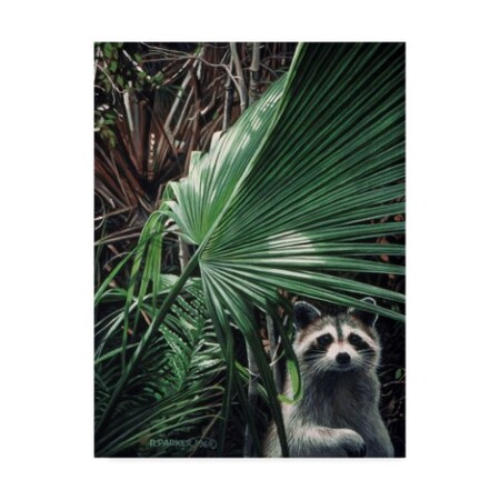 Ron Parker 'Everglades Raccoon' Canvas Art,14x19